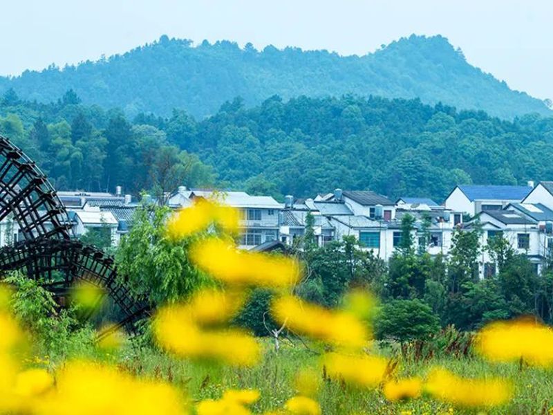 乡村振兴背景下，如何建好美丽乡村